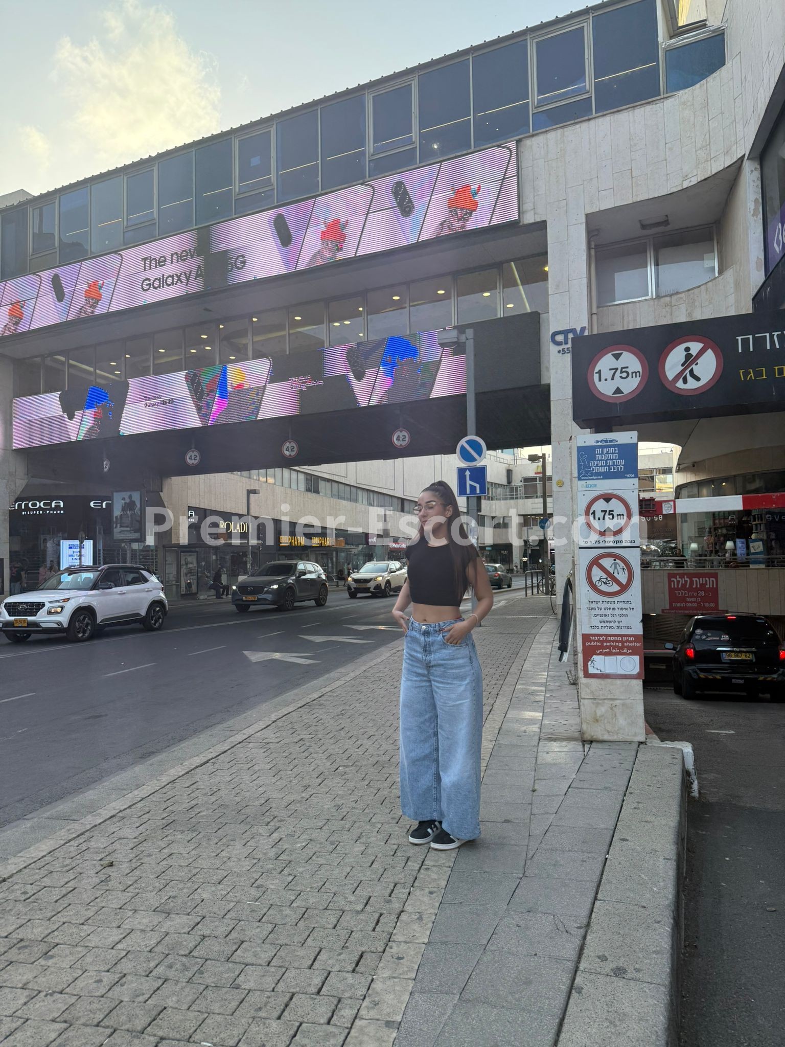 לוז – 100% תמונות אמיתיות 🗸 – בירושלים והאזור – עדינה - תמונה 1